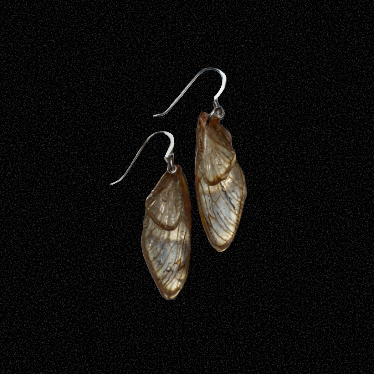 cicada wings