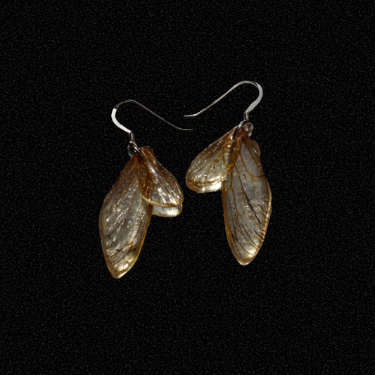 cicada wings
